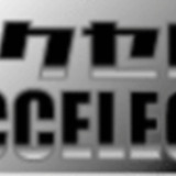 Acceleg アクセルジー