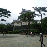 一緒に楽しく