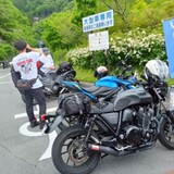 Run Ⅵ