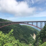 バイクの仲間達