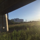 夕焼けブンブン
