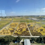 ハーレーでのんびり走りませんか 初心者歓迎