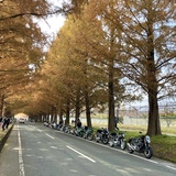 ホットランナー