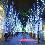 ツーリングサークル「Glass Hearts」