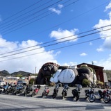 ホットランナー