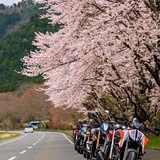 BB Ⅱ (BIG bike touring Club)