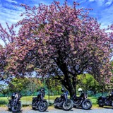 【初マスツー歓迎♪】初心者・リターンの方も初期メンの新クラブ!