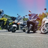 TEAMトコトコ