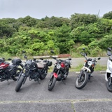 BU250